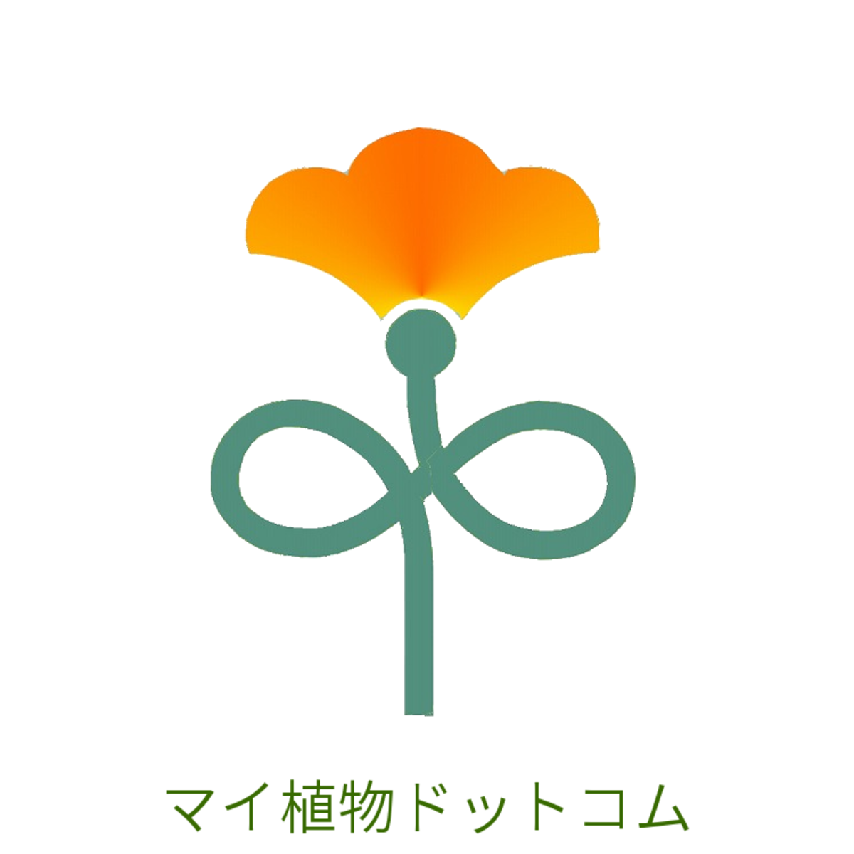 良質な観葉植物・胡蝶蘭の通販 | マイ植物ドットコム