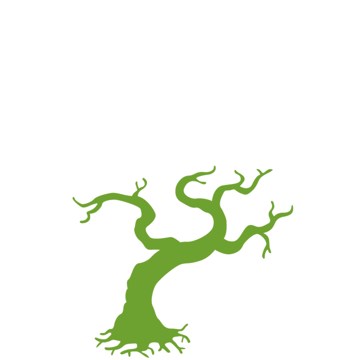 松田プレゼンツWEBストア