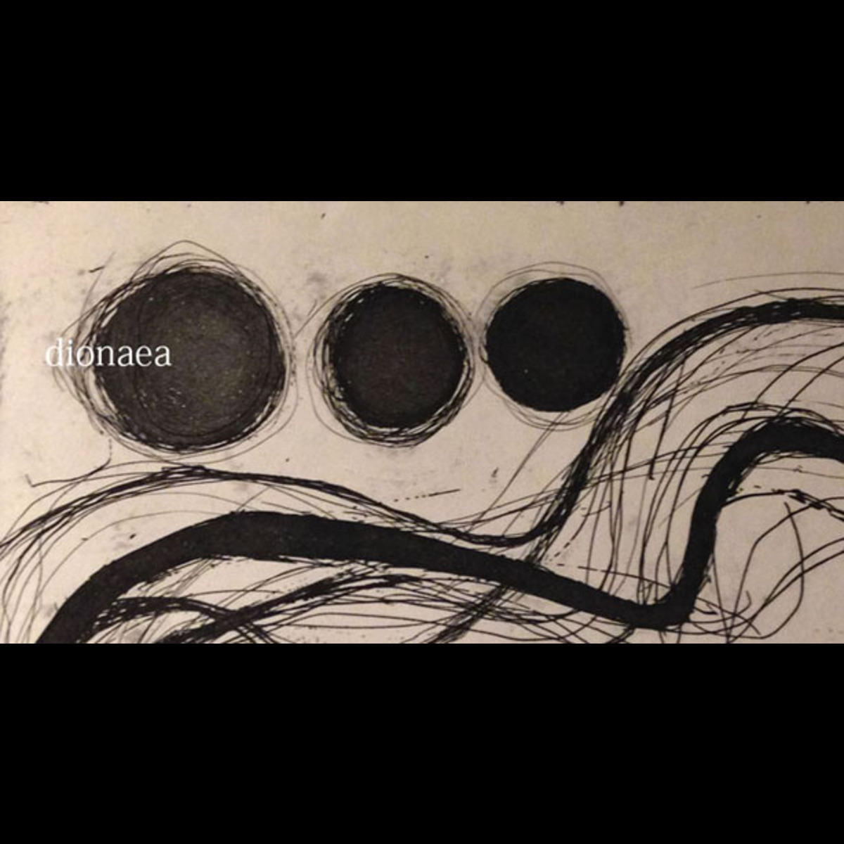 dionaea絵画