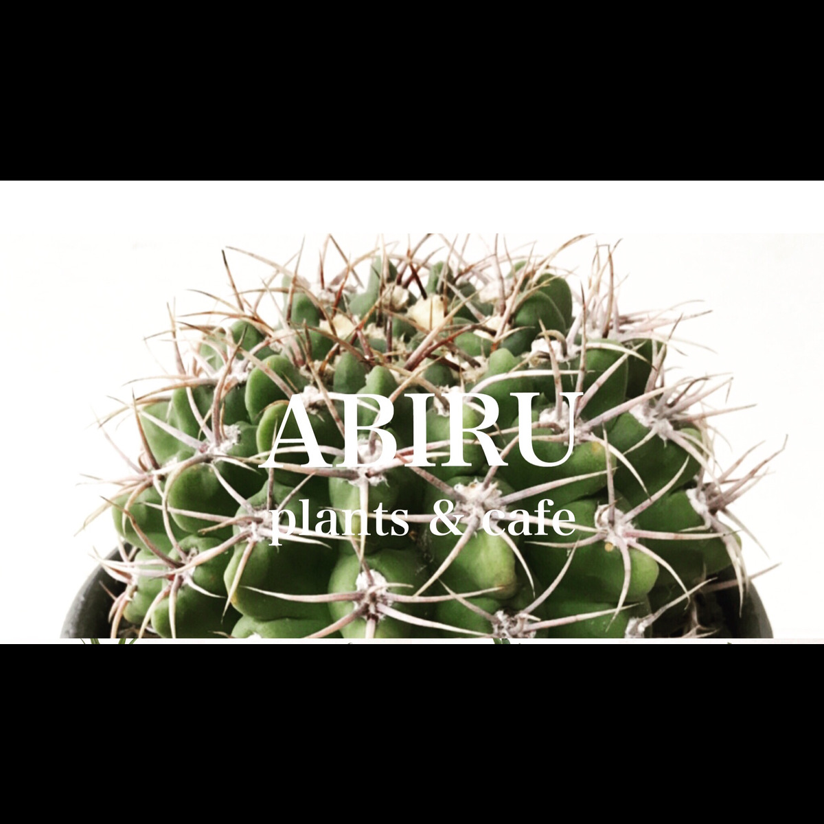 ABIRU plants&cafe