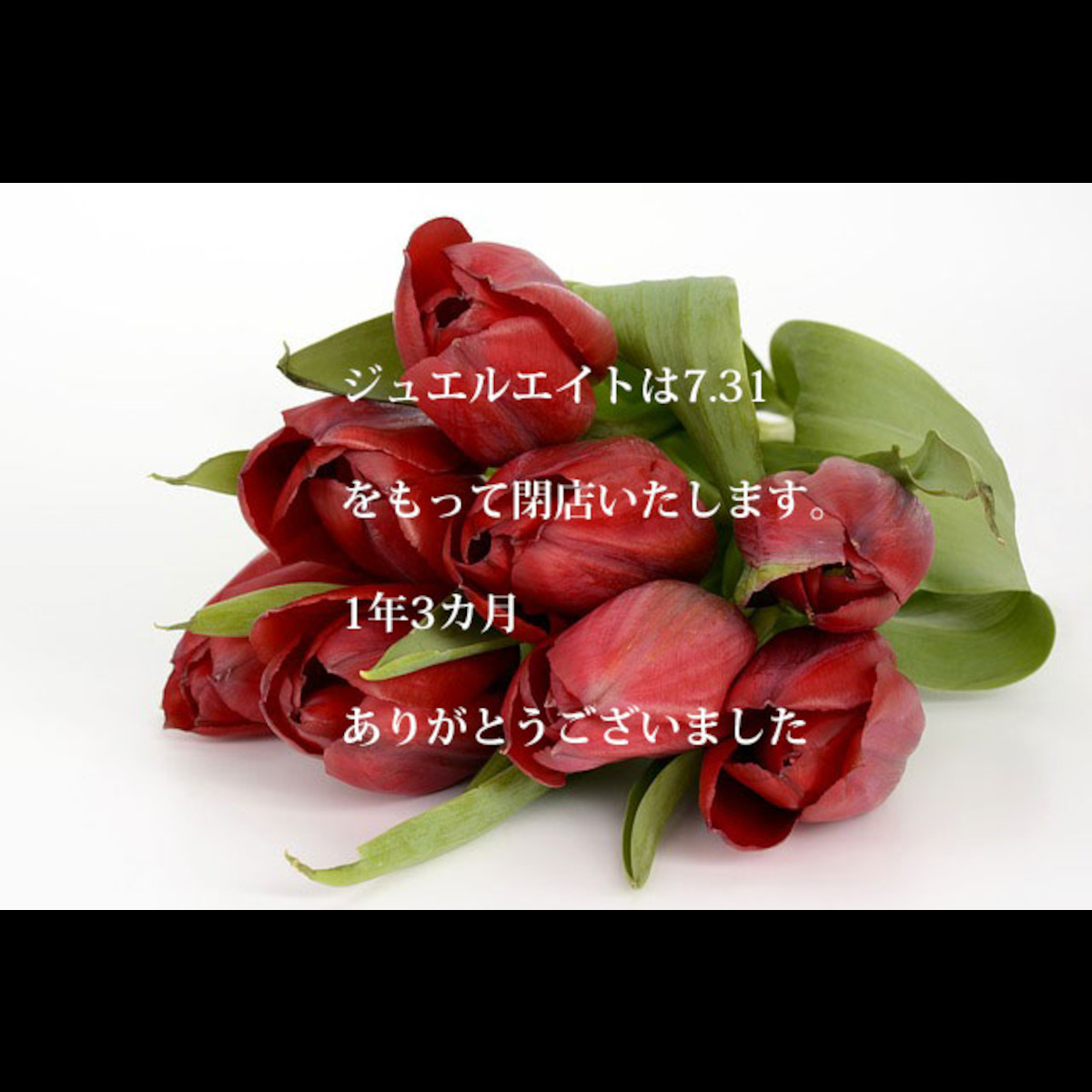 ジュエルエイト