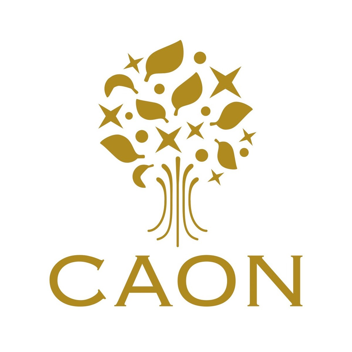 CAON online shop