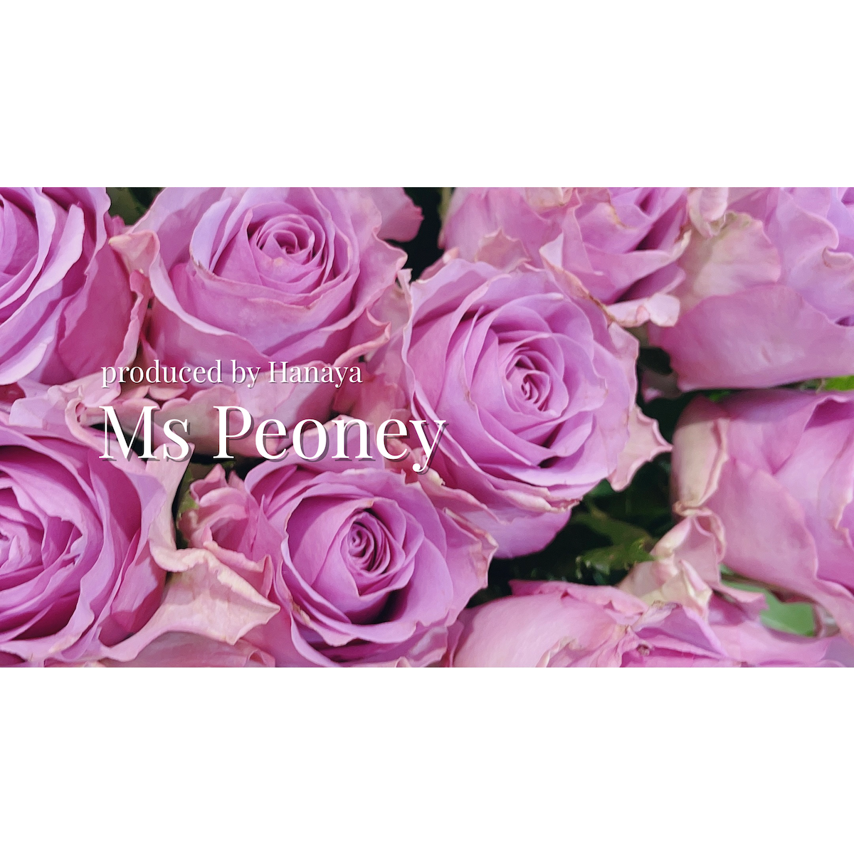 mspeony