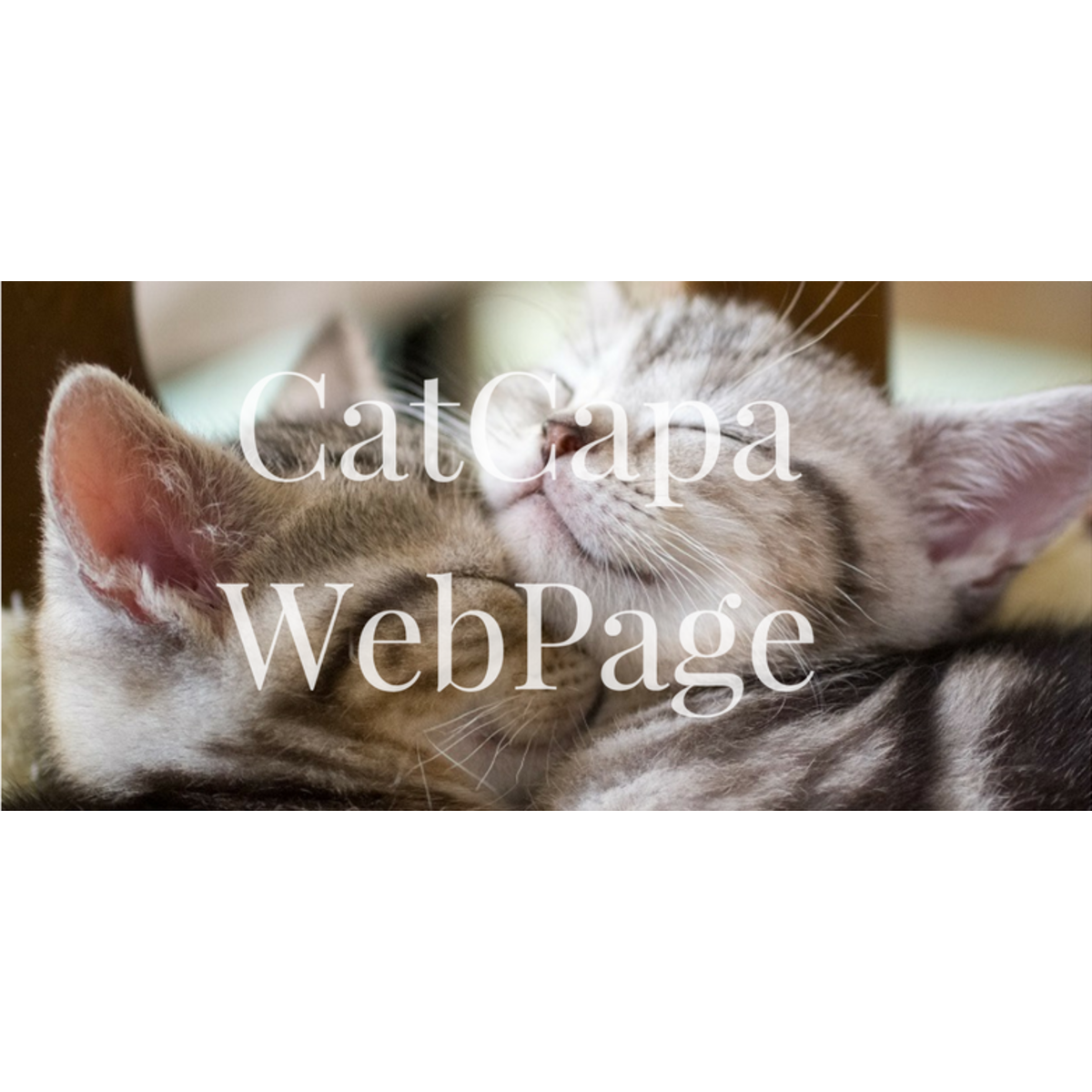 CatCAPA ウェブショップ