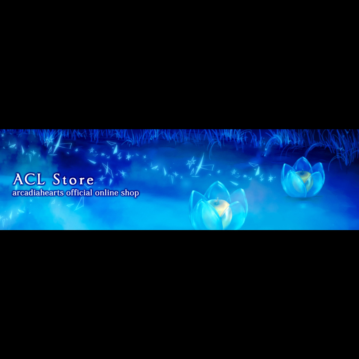 ACL Store