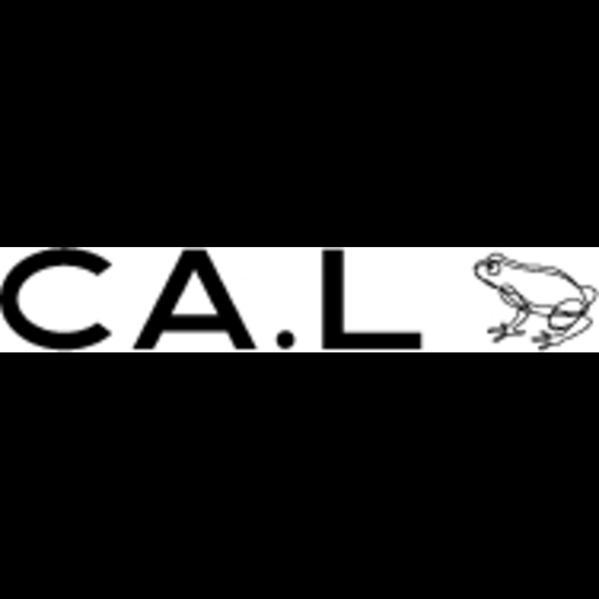 ストール 帽子 アパレル雑貨 CA.L