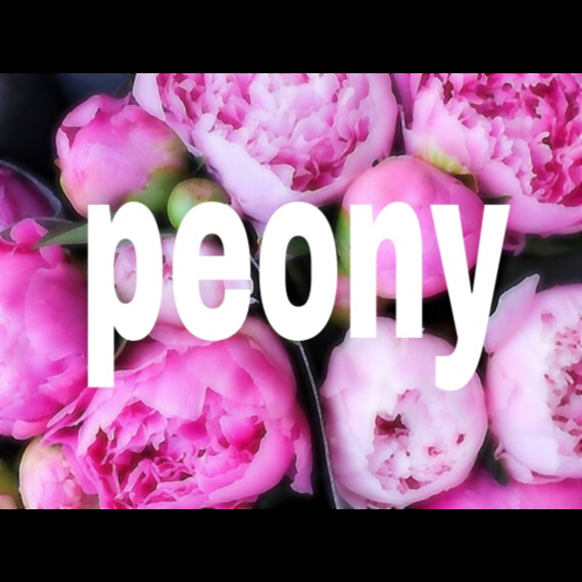peony