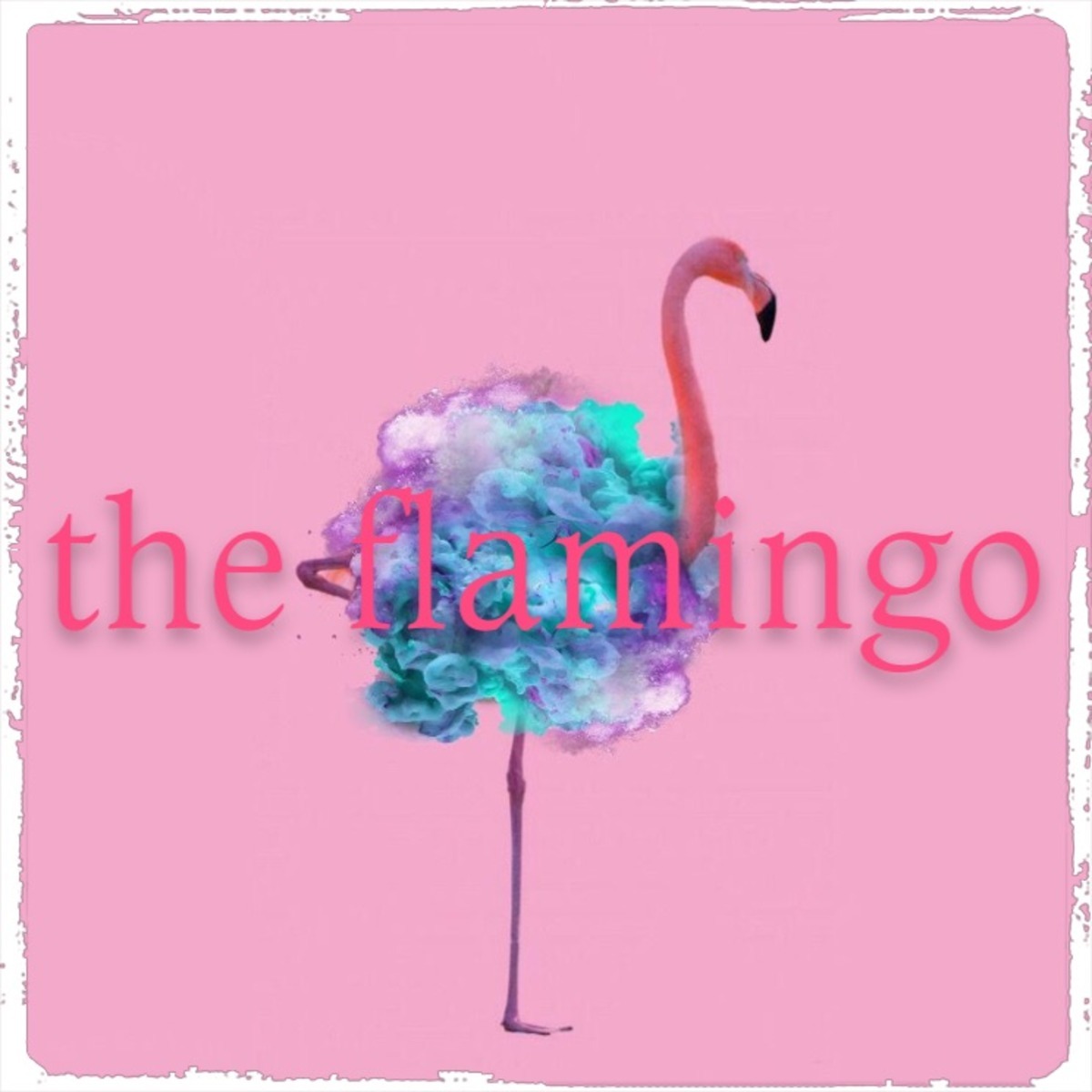 the_flamingo