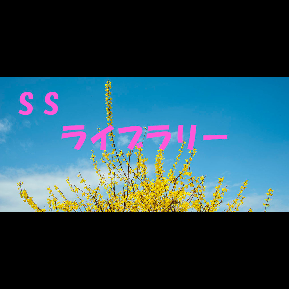 SS  ライブラリー
