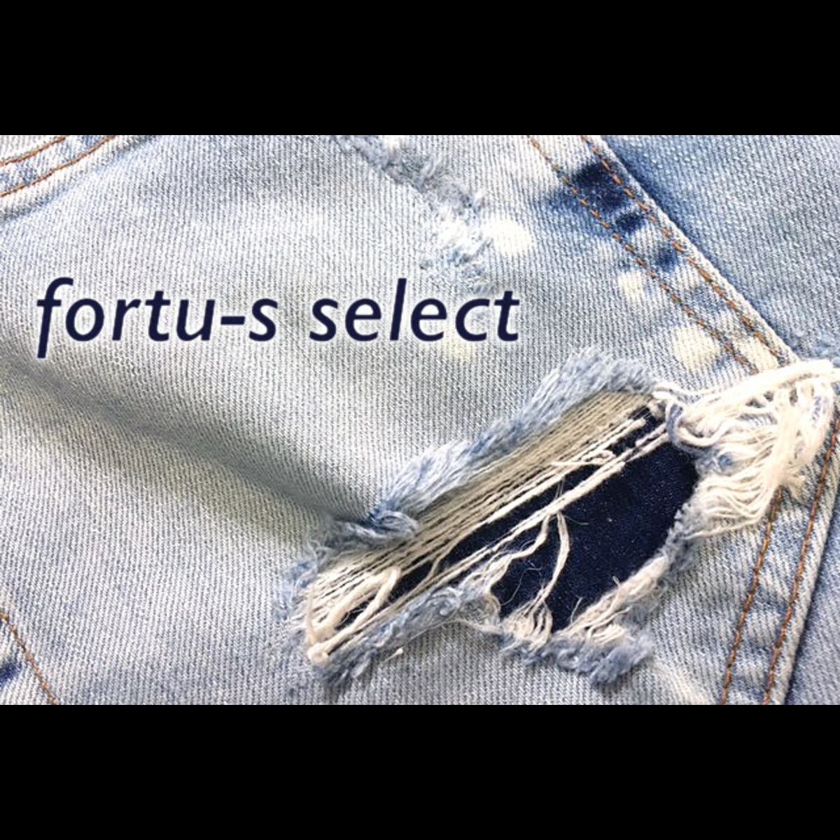 fortu-s select