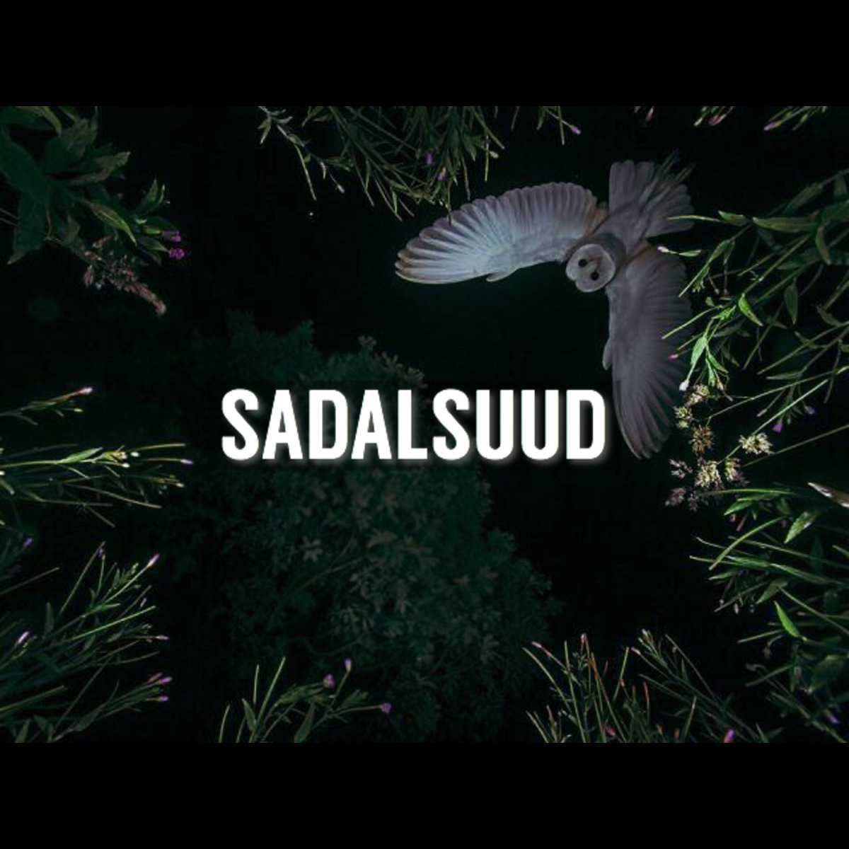 SADALSUUD