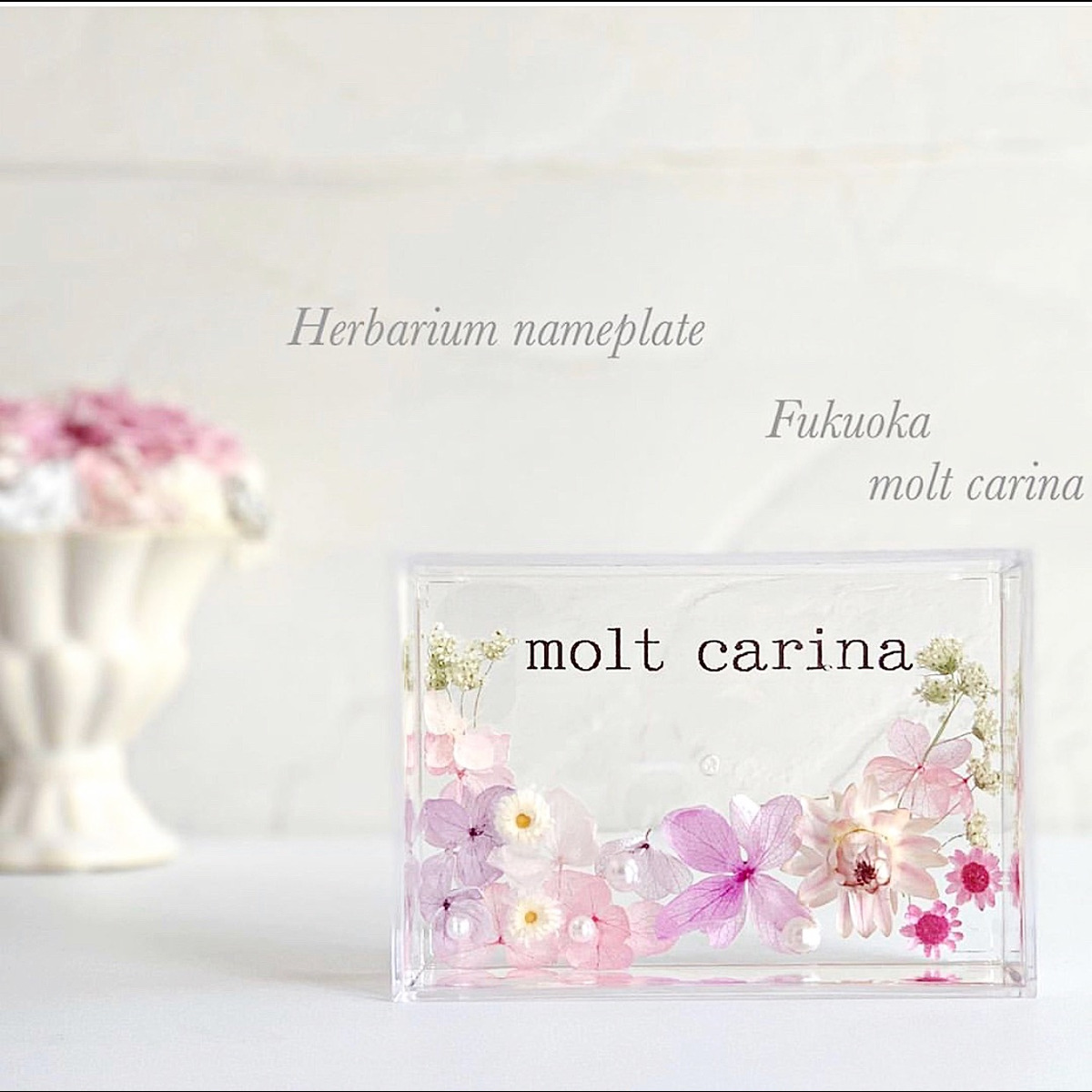 moltcarina