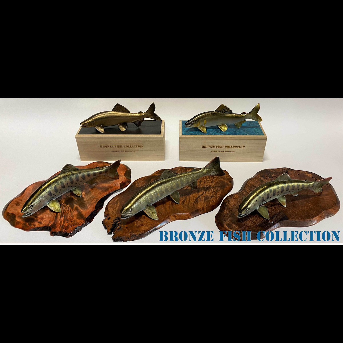 ブロンズフィッシュ　コレクション