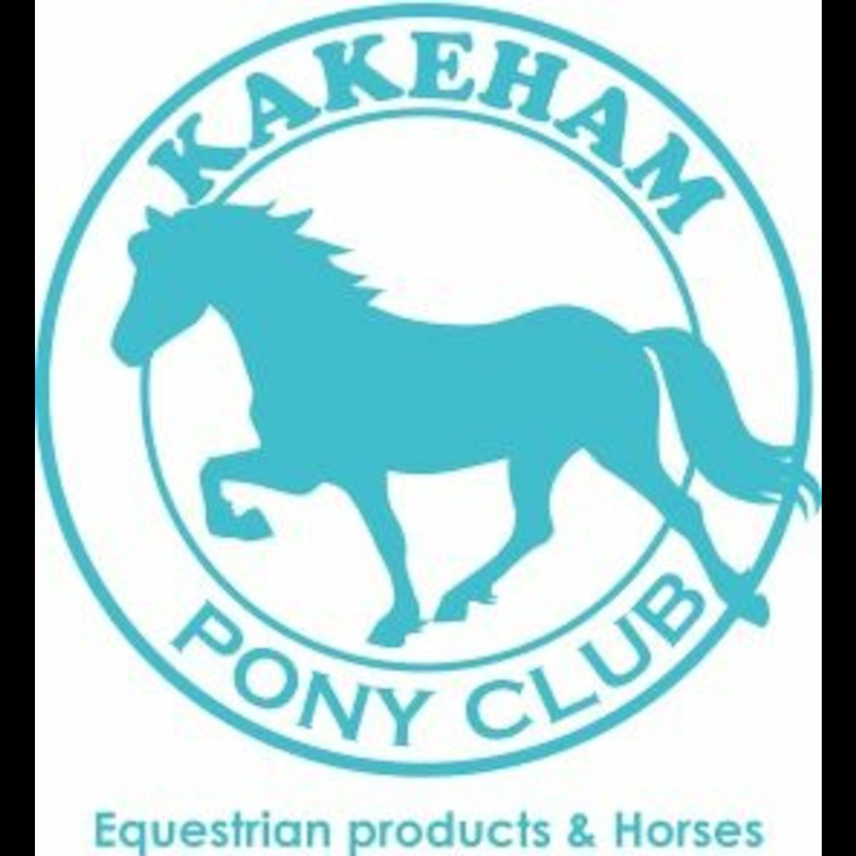 格安 馬具 アウトレット 中古鞍 乗馬用品 カケハムポニークラブ